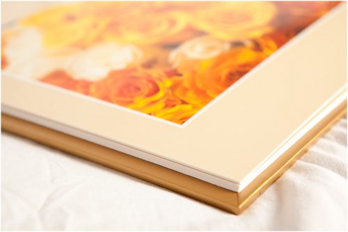 Our Products
